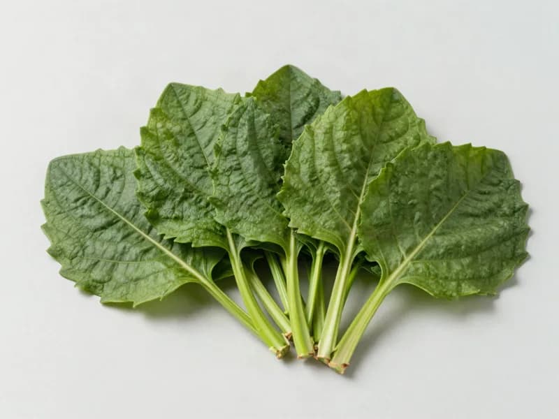 깻잎